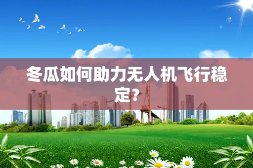 冬瓜如何助力无人机飞行稳定？