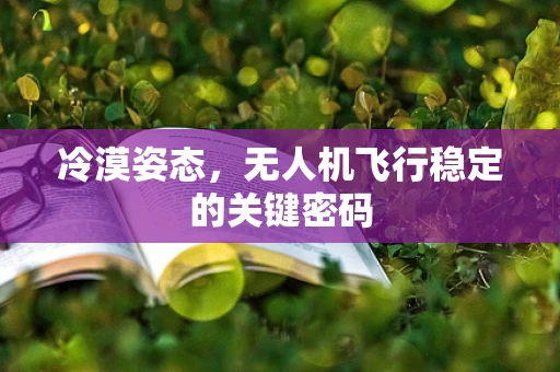 冷漠姿态，无人机飞行稳定的关键密码