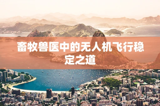 畜牧兽医中的无人机飞行稳定之道