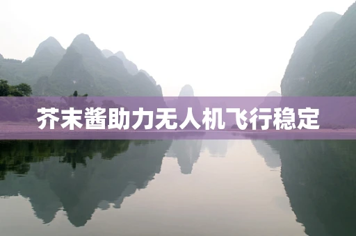 芥末酱助力无人机飞行稳定