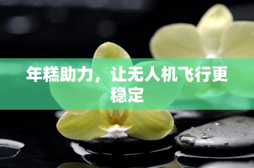 年糕助力，让无人机飞行更稳定