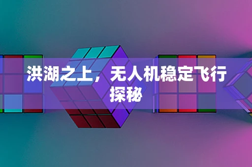 洪湖之上，无人机稳定飞行探秘