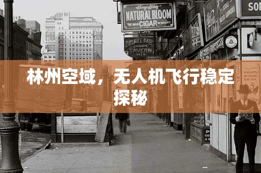 林州空域，无人机飞行稳定探秘