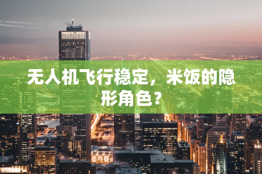 无人机飞行稳定，米饭的隐形角色？