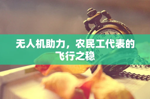 无人机助力，农民工代表的飞行之稳