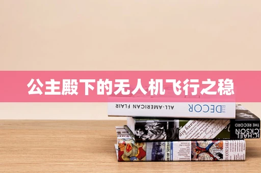 公主殿下的无人机飞行之稳