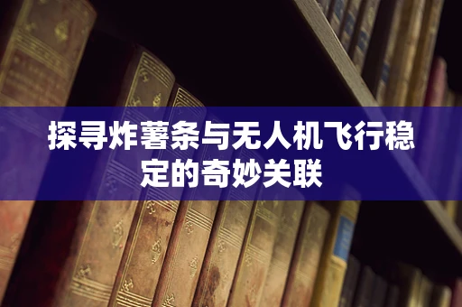 探寻炸薯条与无人机飞行稳定的奇妙关联