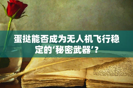 蛋挞能否成为无人机飞行稳定的‘秘密武器’？