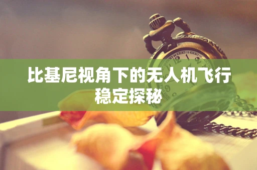 比基尼视角下的无人机飞行稳定探秘