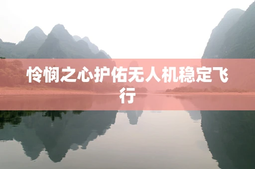 怜悯之心护佑无人机稳定飞行