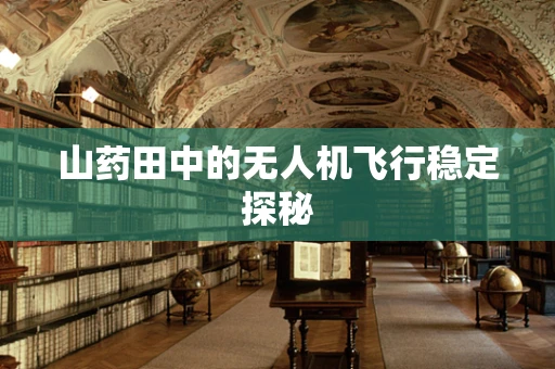山药田中的无人机飞行稳定探秘