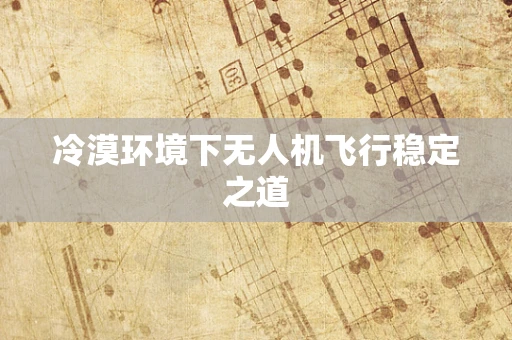冷漠环境下无人机飞行稳定之道