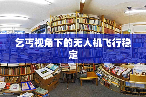 乞丐视角下的无人机飞行稳定