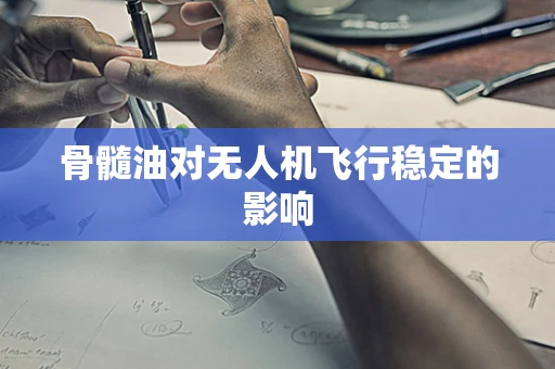 骨髓油对无人机飞行稳定的影响
