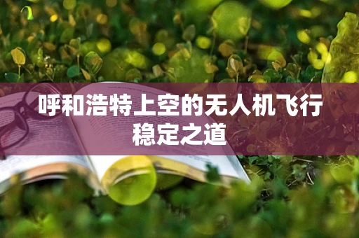 呼和浩特上空的无人机飞行稳定之道