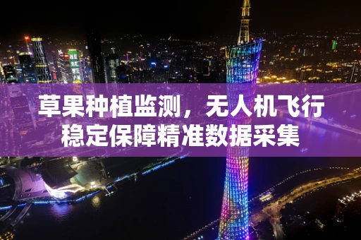 草果种植监测，无人机飞行稳定保障精准数据采集