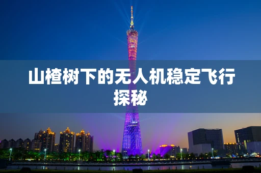 山楂树下的无人机稳定飞行探秘