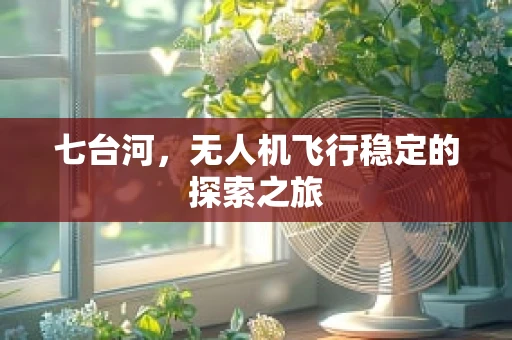 七台河，无人机飞行稳定的探索之旅