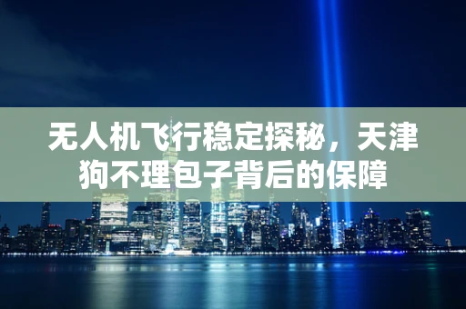 无人机飞行稳定探秘，天津狗不理包子背后的保障