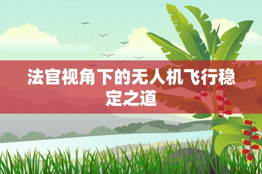 法官视角下的无人机飞行稳定之道