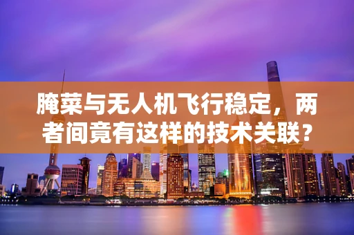 腌菜与无人机飞行稳定，两者间竟有这样的技术关联？