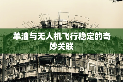 羊油与无人机飞行稳定的奇妙关联