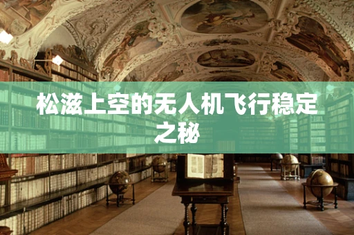 松滋上空的无人机飞行稳定之秘