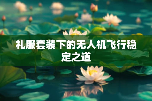 礼服套装下的无人机飞行稳定之道