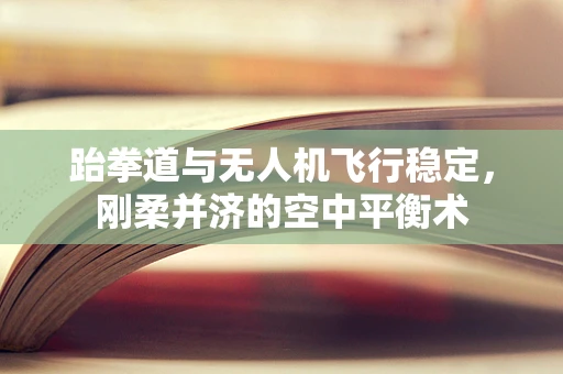 跆拳道与无人机飞行稳定，刚柔并济的空中平衡术