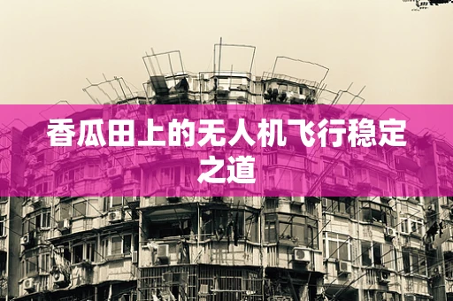 香瓜田上的无人机飞行稳定之道