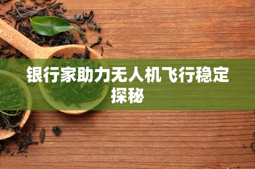 银行家助力无人机飞行稳定探秘