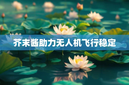芥末酱助力无人机飞行稳定