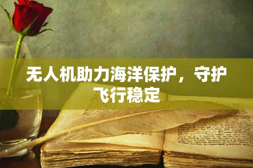 无人机助力海洋保护，守护飞行稳定