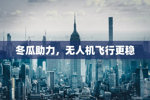 冬瓜助力，无人机飞行更稳