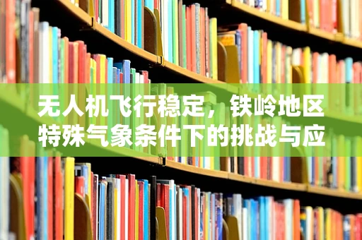 无人机飞行稳定，铁岭地区特殊气象条件下的挑战与应对
