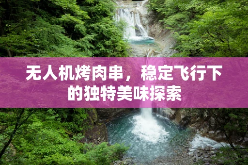 无人机烤肉串，稳定飞行下的独特美味探索