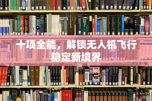 十项全能，解锁无人机飞行稳定新境界