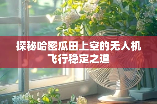 探秘哈密瓜田上空的无人机飞行稳定之道