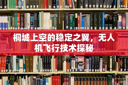 桐城上空的稳定之翼，无人机飞行技术探秘
