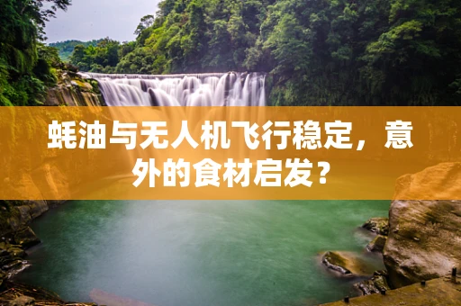 蚝油与无人机飞行稳定，意外的食材启发？