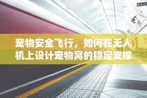 宠物安全飞行，如何在无人机上设计宠物窝的稳定支撑系统？