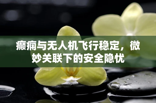 癫痫与无人机飞行稳定，微妙关联下的安全隐忧