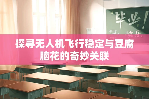 探寻无人机飞行稳定与豆腐脑花的奇妙关联