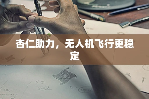 杏仁助力，无人机飞行更稳定