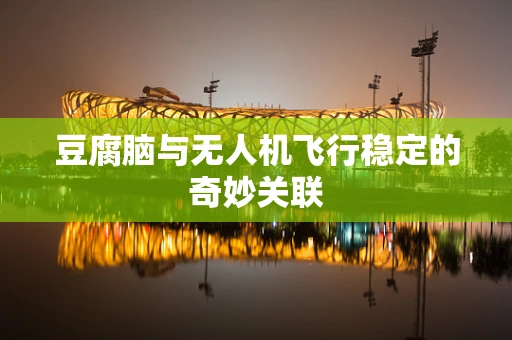 豆腐脑与无人机飞行稳定的奇妙关联
