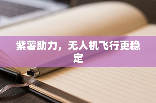 紫薯助力，无人机飞行更稳定