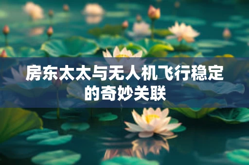 房东太太与无人机飞行稳定的奇妙关联