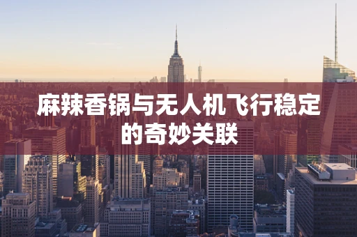 麻辣香锅与无人机飞行稳定的奇妙关联