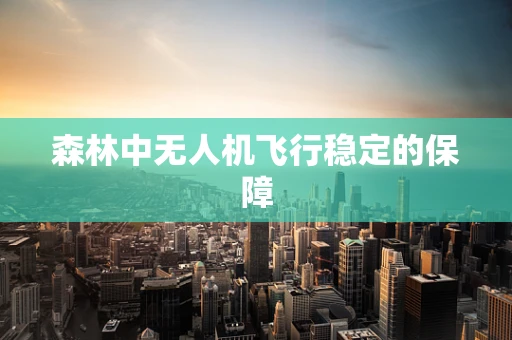 森林中无人机飞行稳定的保障