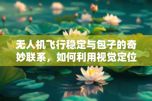 无人机飞行稳定与包子的奇妙联系，如何利用视觉定位技术确保空中包子铺的平稳飞行？
